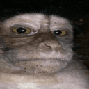 kime profile pic