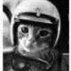 igor_rr_ profile pic