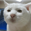 demizze_ profile pic